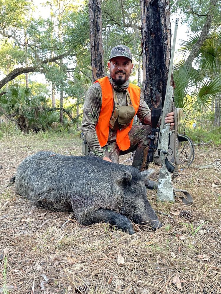 Puerco salvaje cazado en Florida